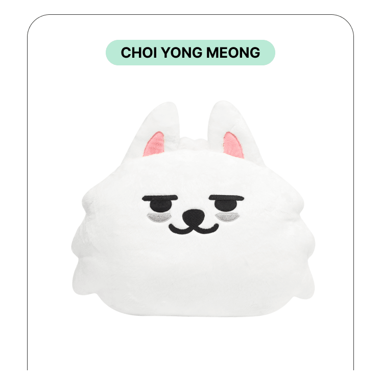 PPULBATU - FACE CUSHION CHOI YONG MEONG