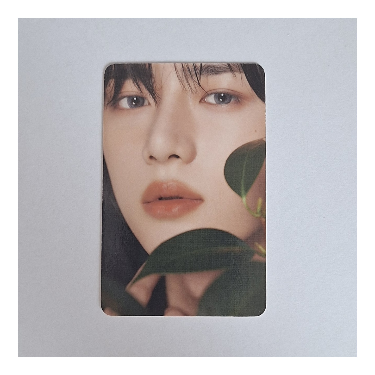 TXT Beomgyu - DICON D’FESTA photocard