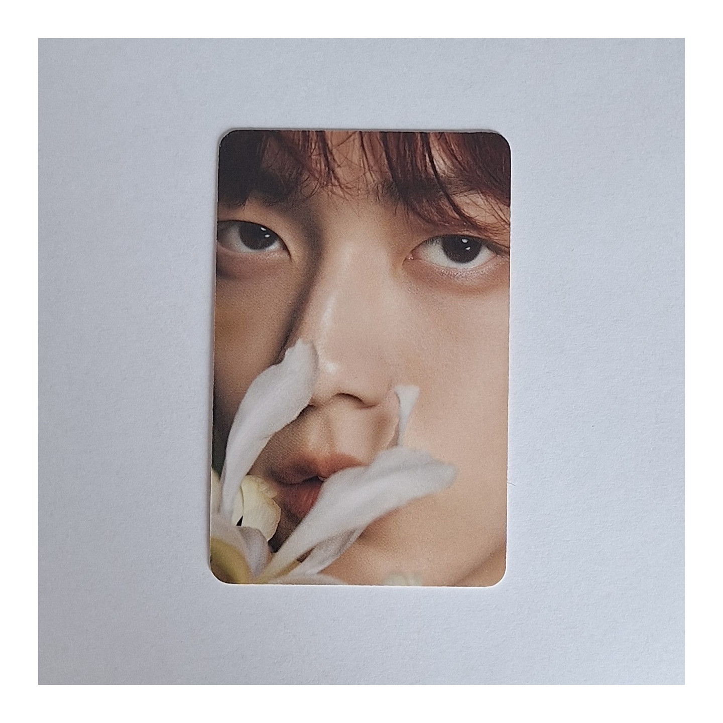 TXT Soobin - DICON D’FESTA photocard