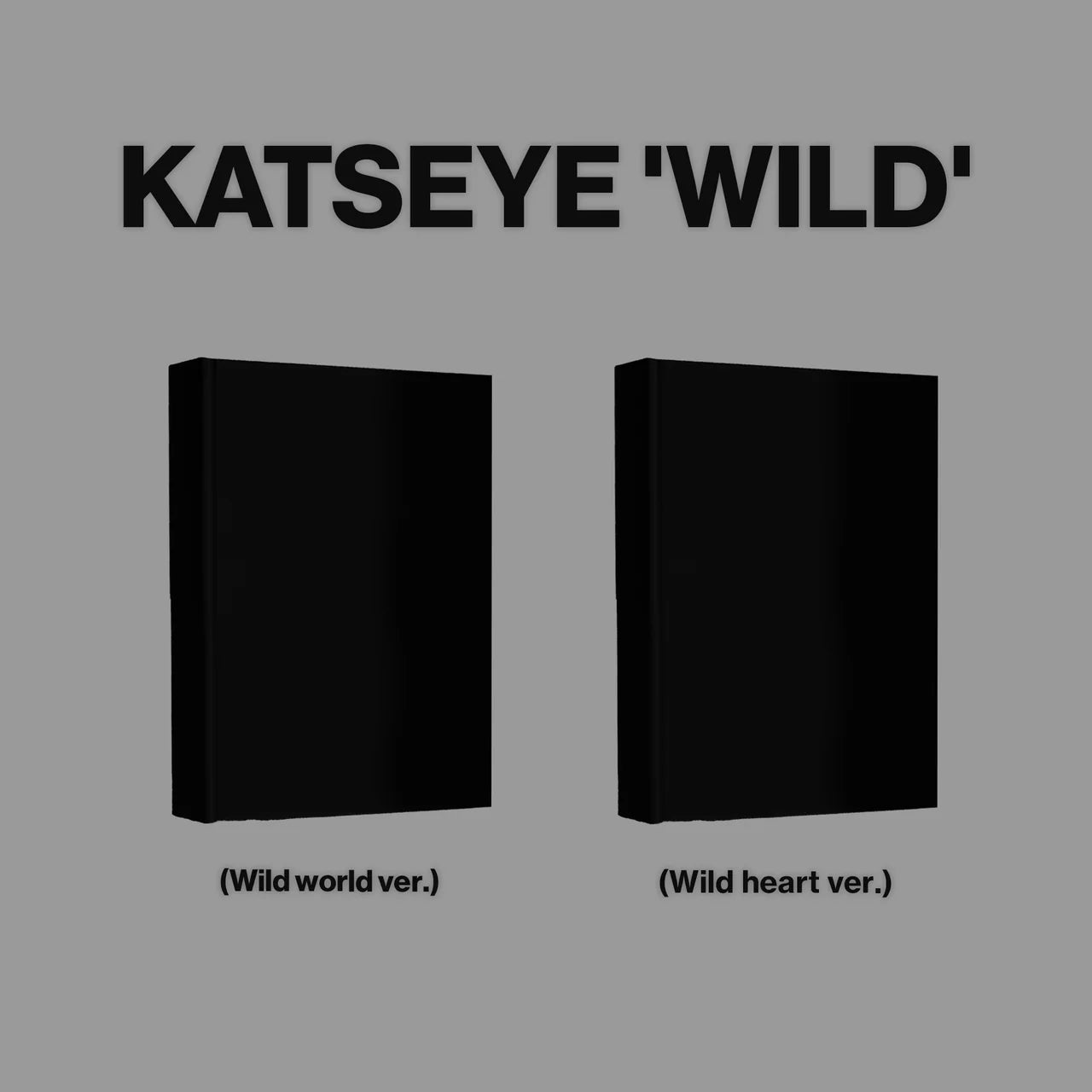 KATSEYE - WILD
